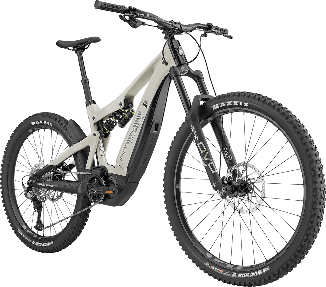 Ebikes MTB